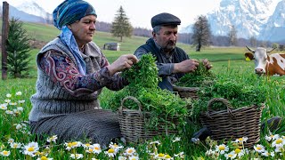 Wild Edible Herb Harvest &amp; Cooking Flatbread: 🌿 Foraging &amp; Cooking in Nature!