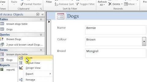 How to delete a form   Access 2010