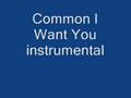 Common I Want You Instrumental mp3