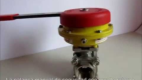 Palanca de Seguridad Kinetrol