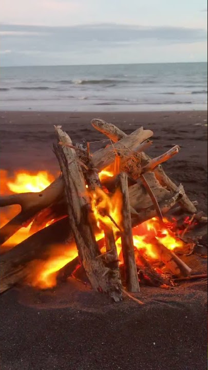 Api unggun Pinggir Pantai #shortsvideo #api #apiunggun #bonfire