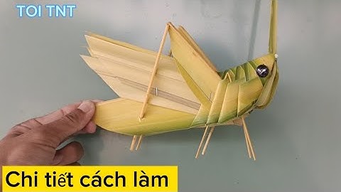 P.9 Chi tiết cách làm con Cào Cào bằng lá dừa| Details of how to make Rake Rake with coconut leaves.