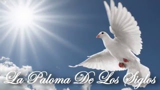 La Paloma De Los Siglos-Cedros De Libano chords