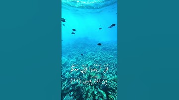 تقليد اسلام صبحي بصوت خاشع جدا يدخل القلب 😢 سورة الطور #quran