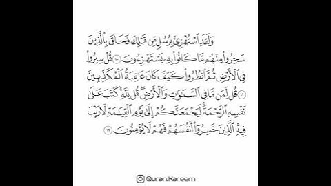 القارئ سعد الغامدي - سورة الأنعام - من الآية 10 إلى الآية 12