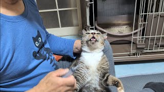 ポンハウス最強の子に投薬をする方法