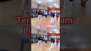 Terlalu dalam linedance choreo by @naningolala2230 #linedance #dance #judika #terlaludalam