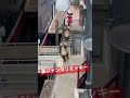 【TDS】ステージ裏ジャンボリミッキー / ミニーちゃんのスカートふわり　#shorts #ディズニーシー