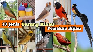 Burung Kicau Pemakan Bijian, 13 Jenis beserta Harga Bahan Burungnya !