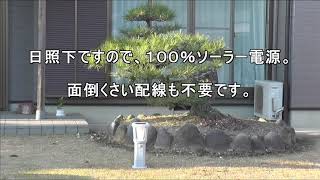 庭を装飾するソーラーライト。癒し効果も 　あり、日本庭園には最適。