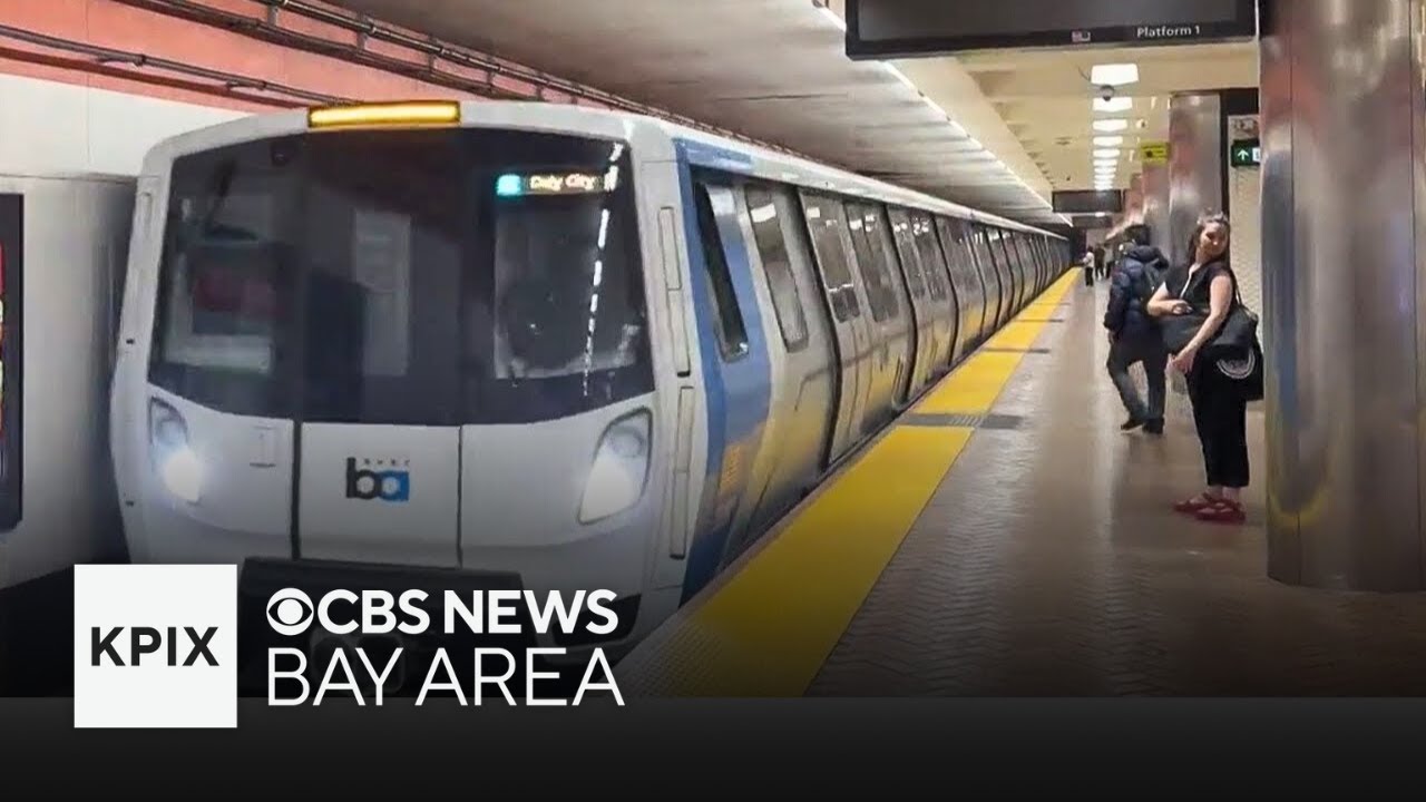 Woman, 74, dies after being pushed in front of BART train