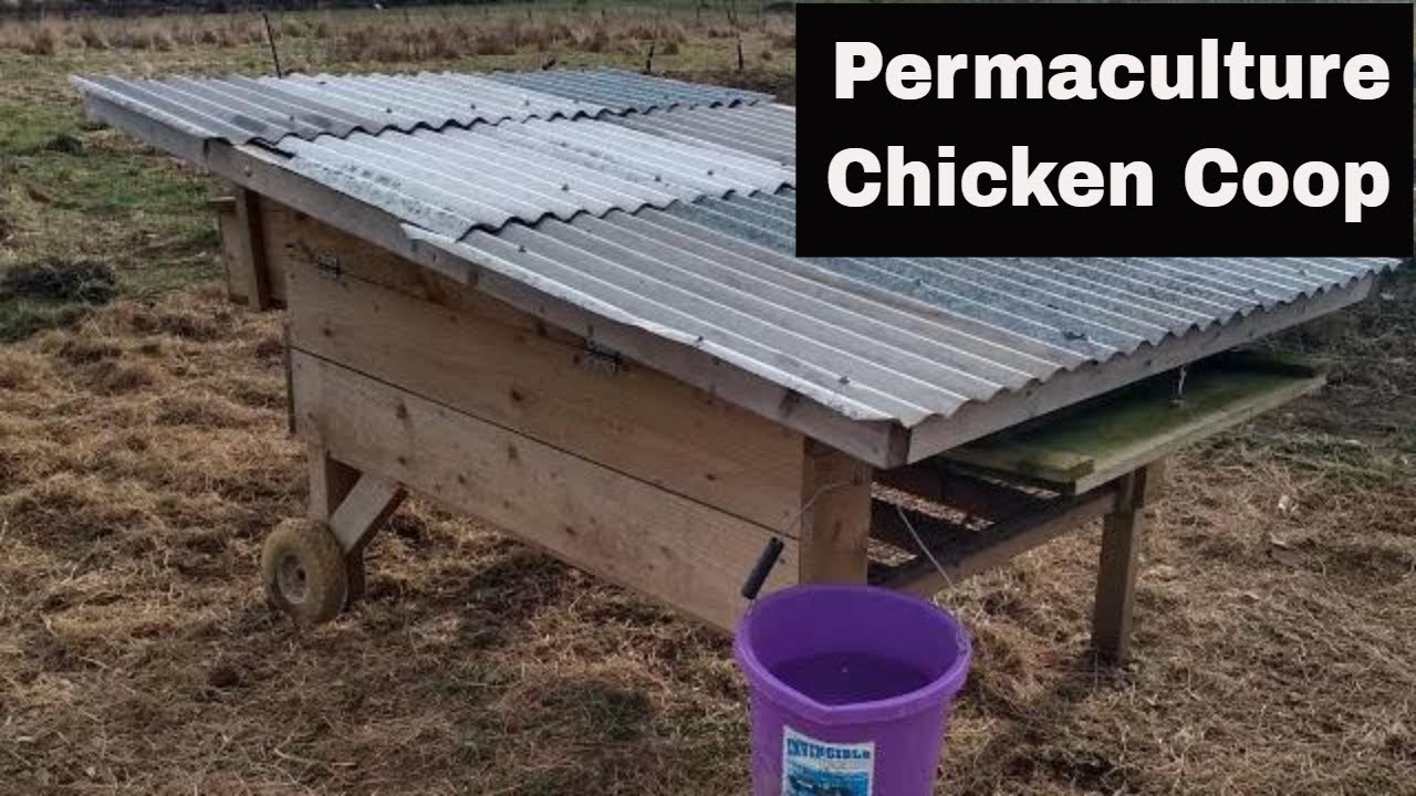 The permaculture chicken coop, The Eggmobile! YouTube