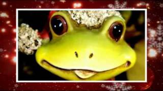 Funny Christmas - Natale Diverso - By Flory Brown