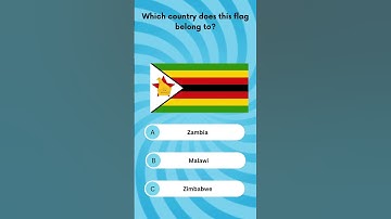 Guess the Country Flag! 🌍 | Flag Quiz Challenge 24 #quiz #braintest #mindbendingquizzes