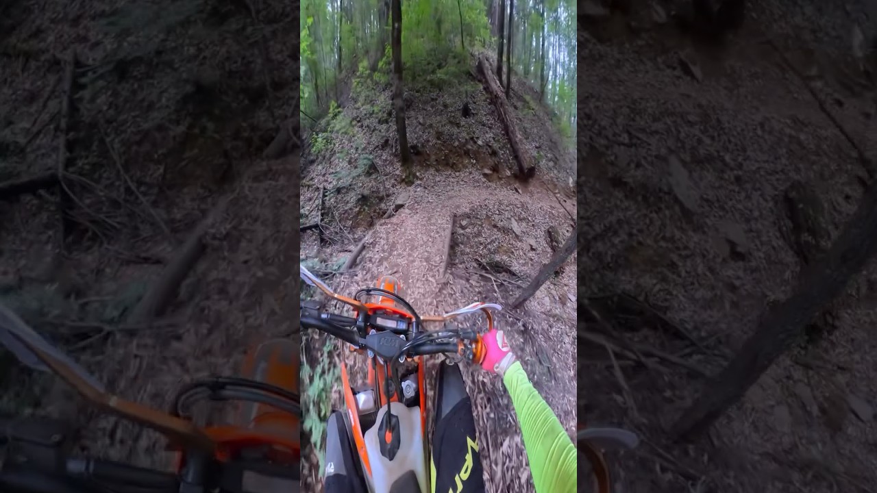 Cruising epic single track with our NorCal Chapter Prez @trails_annd_tribulations ! 