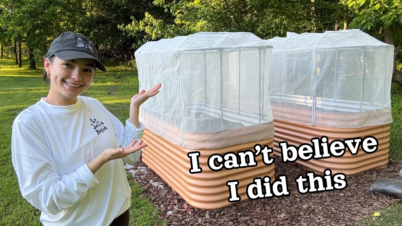 my garden is finally coming together 🌱 pt 2 - YouTube