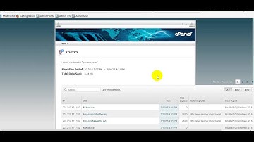 1 Minute Check Last Visitor on cPanel