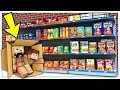 CHIUSI 24 ORE NEL CENTRO COMMERCIALE! - Minecraft ITA