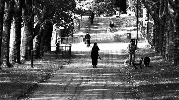 RED BOX - WHY SO FEW (OFFICIAL VIDEO 2019)