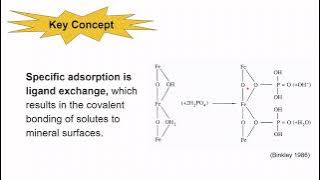 Sorption and Ion Exchange 03- Specific Adsorption
