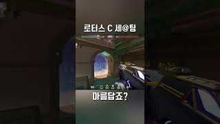 사이퍼 로터스 c 원웨이