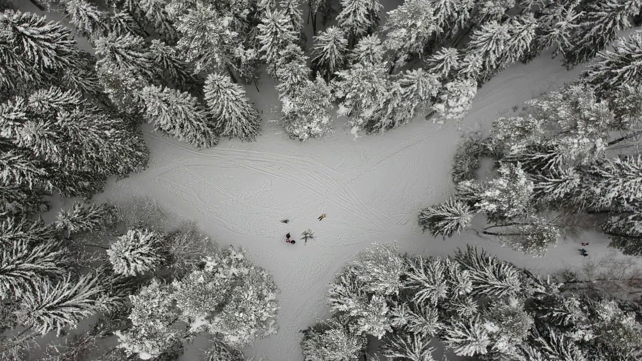 Ёлки Moloko - The Time Is Now (Bambino Casino Mix)