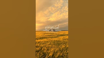 سورة البقرة الآية ( 186 )                        Surah Al-Baqarah, verse (186)