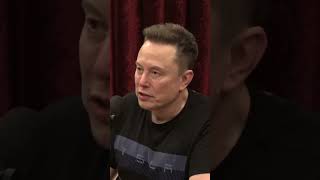 Joe Rogan &amp; Elon Musk REACT To Ireland's Insane Immigration Crisis 🤯