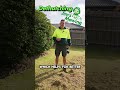 What is dethatching a lawn?
