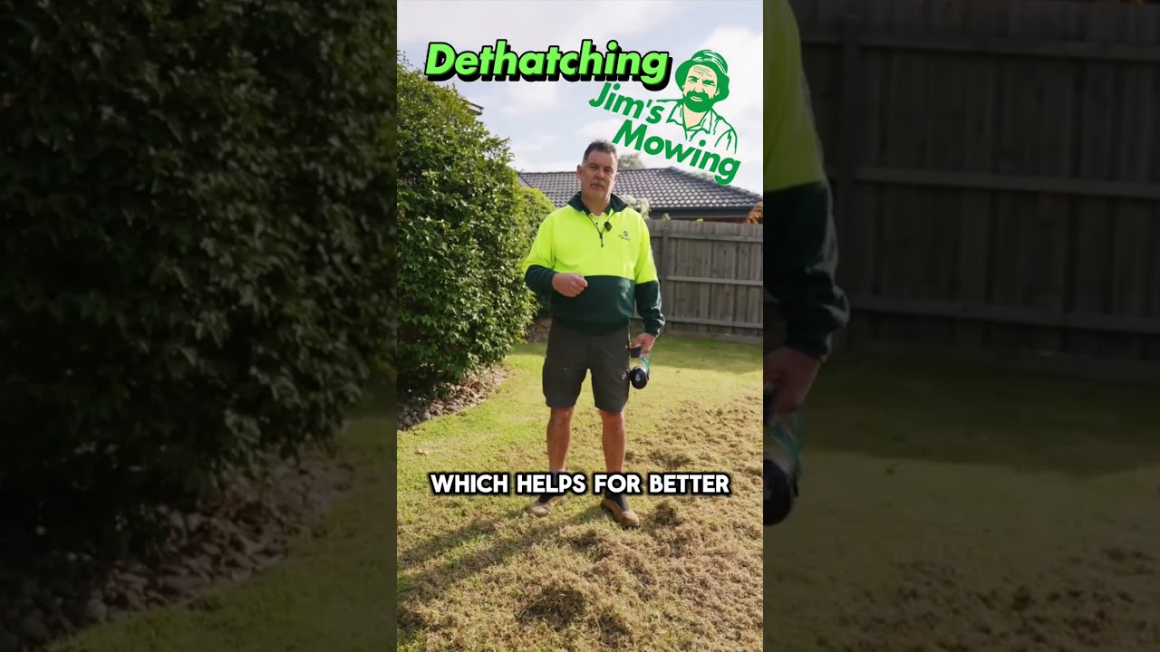 What is dethatching a lawn? What is dethatching a lawn?