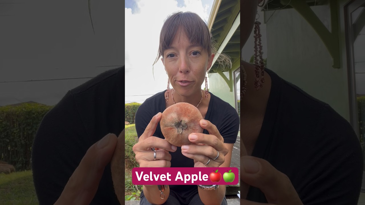 Бархатное яблоко — какой забавный фрукт. Аромат парфюмерный, густой, кремовый, немного суховатый,...