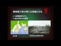 4th Ishibashi Foundation Lecture 2 Robert Hellyer