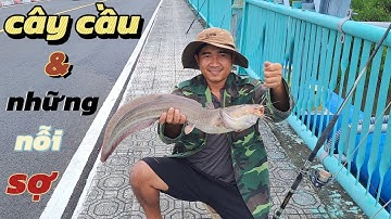 Câu cá cầu Lôi Giang, nỗi ám ảnh của nhiều cần thủ