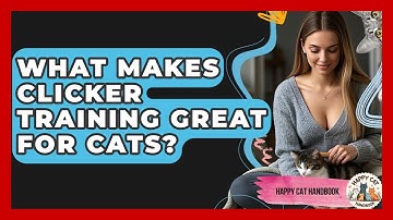 What Makes Clicker Training Great For Cats? - Happy Cat Handbook