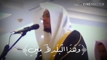تلاوه غاية في الجمال بالبيات التحببري لسورة ” التين “ الشيخ ياسر الدوسري