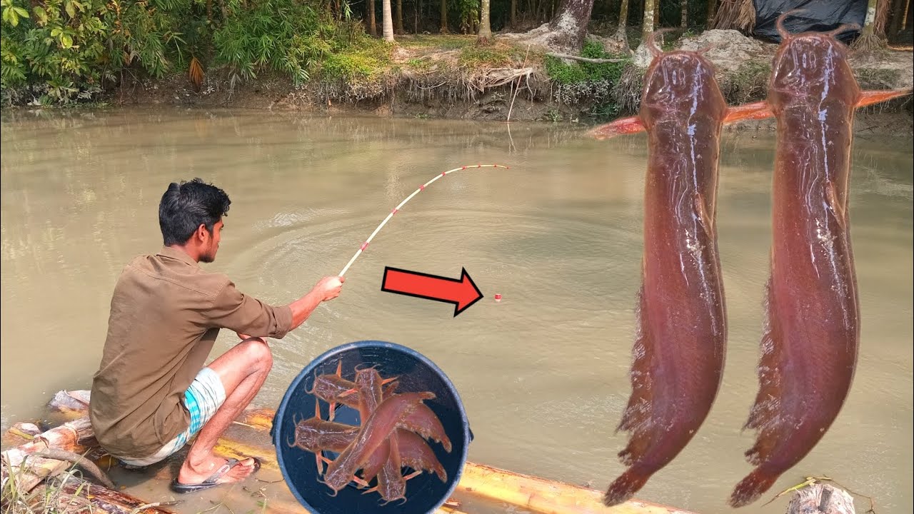 SA Fishing TV | Village fishing by hook | Fishing techniques | Best fishing video