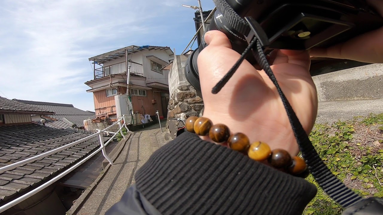 【写活】猫だらけの島、湯島に行って来た！