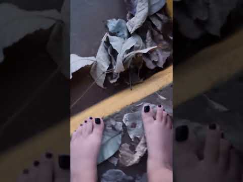 🌿✨ ASMR | Satisfying Nature Sounds ✨👣 #beautifulfeet #feet
