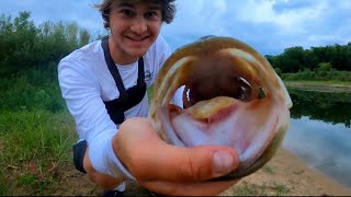 Fishing HIDDEN GEMS of Minnesota for HUGE bass