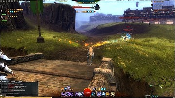 Guild Wars 2 1v1 WvW  [foxy]