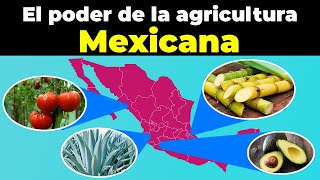 The power of agriculture in the 32 Mexican states The power of agriculture in the 32 Mexican states