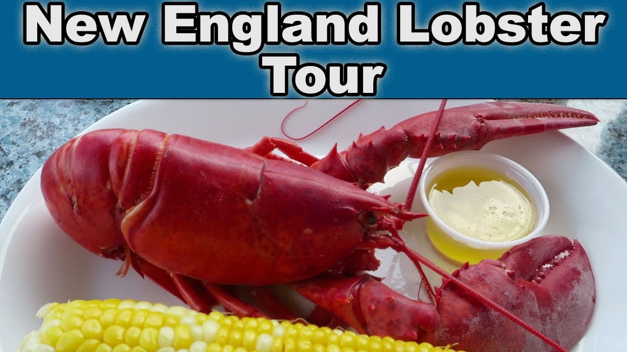 Where is the Best Lobster? New England Trip YouTube