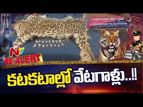 చిరుత చర్మం.. 15 గోళ్లు.. అక్రమ దందా గుట్టురట్టు | Be Alert | NTV Telugu