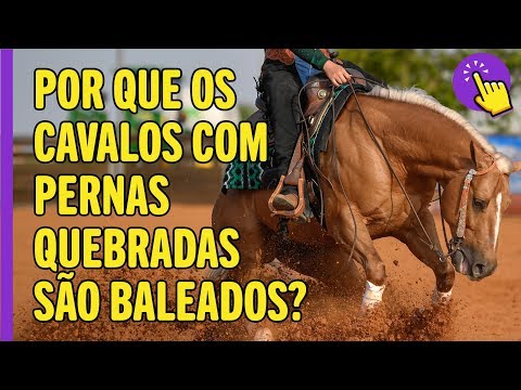 Vídeo: Ossos Quebrados Em Cavalos