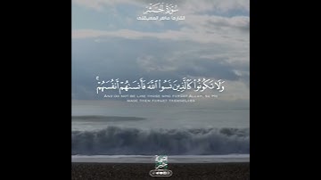 أجمل حالات واتس اب قرآن كريم بصوت ماهر المعيقلى |  صوته يريح القلب | نسوا الله 💔"