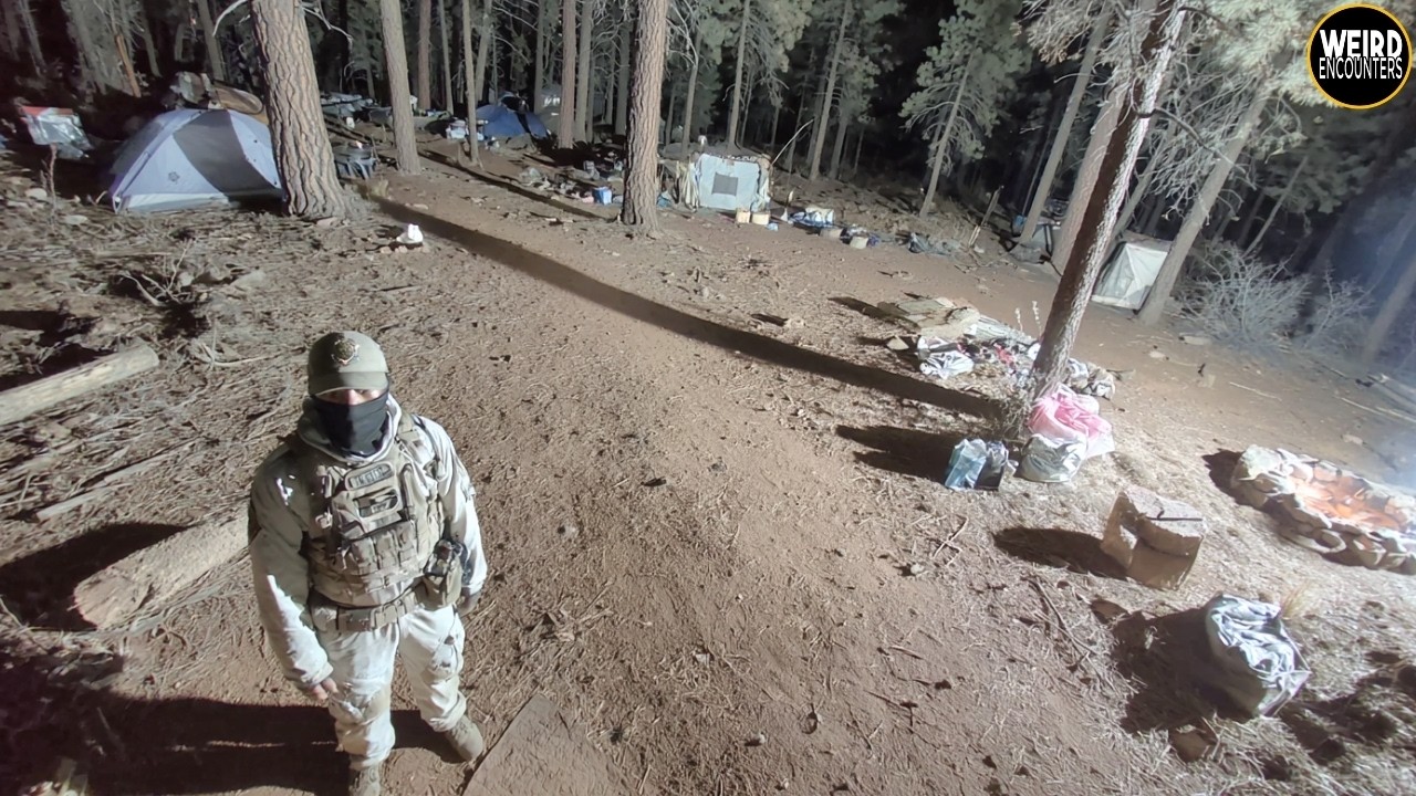 We Shouldn’t Be Alive — What Saved Us in the Washington Woods