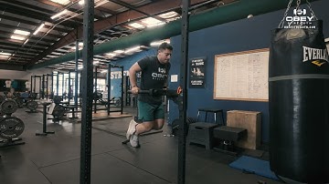 Parallel Bar Dips | OS