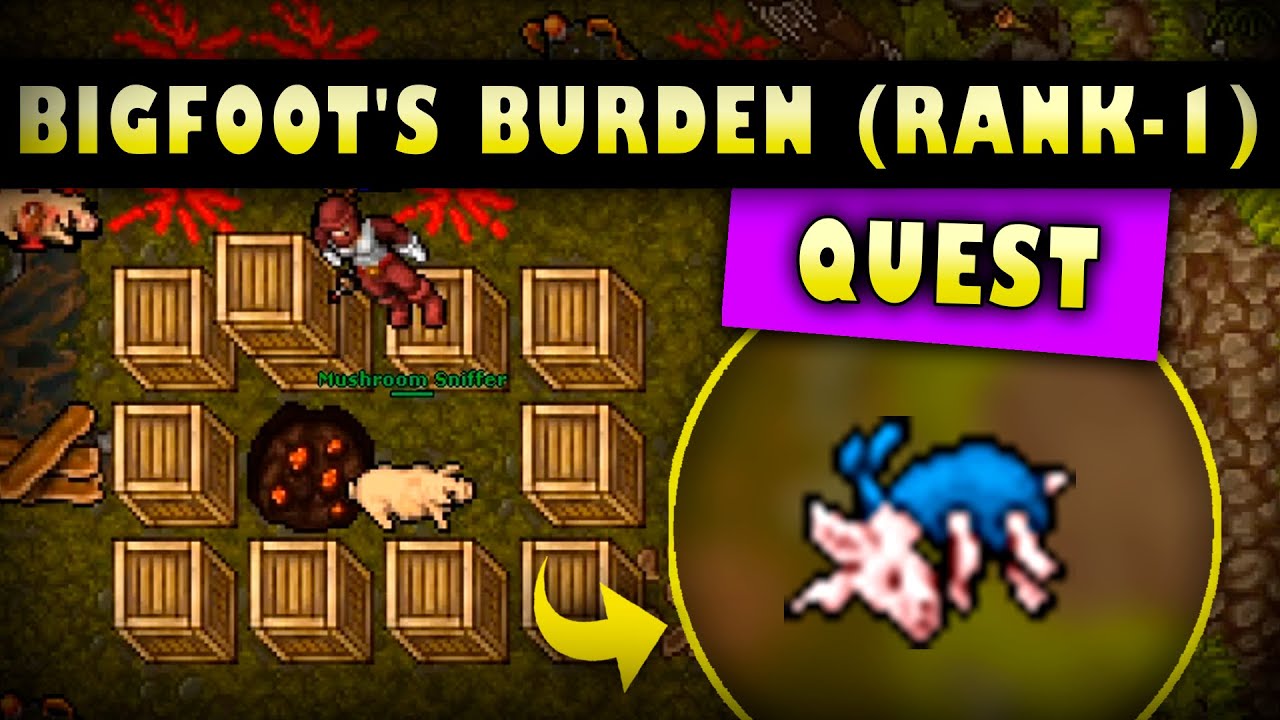 [TIBIA] - BIGFOOT'S BURDEN QUEST (PARTE 3) | RANK - 1 (TASKS) - YouTube