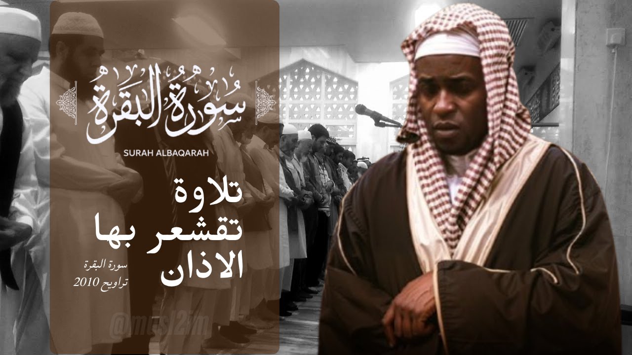 Imam Faisal Beautiful Quran recitation NEW RARE*** 🤍 | Surah Al Baqarah - 243