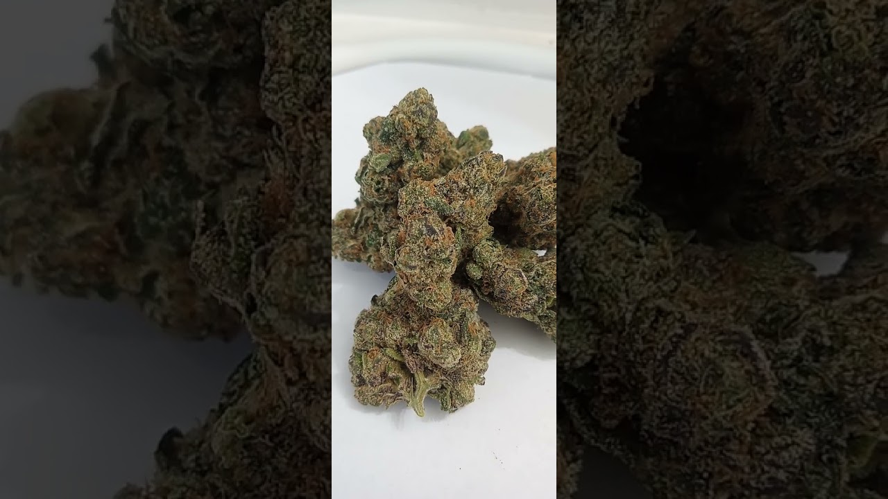 Fuji OG Cannabis strain review/W Dr. Greenbody